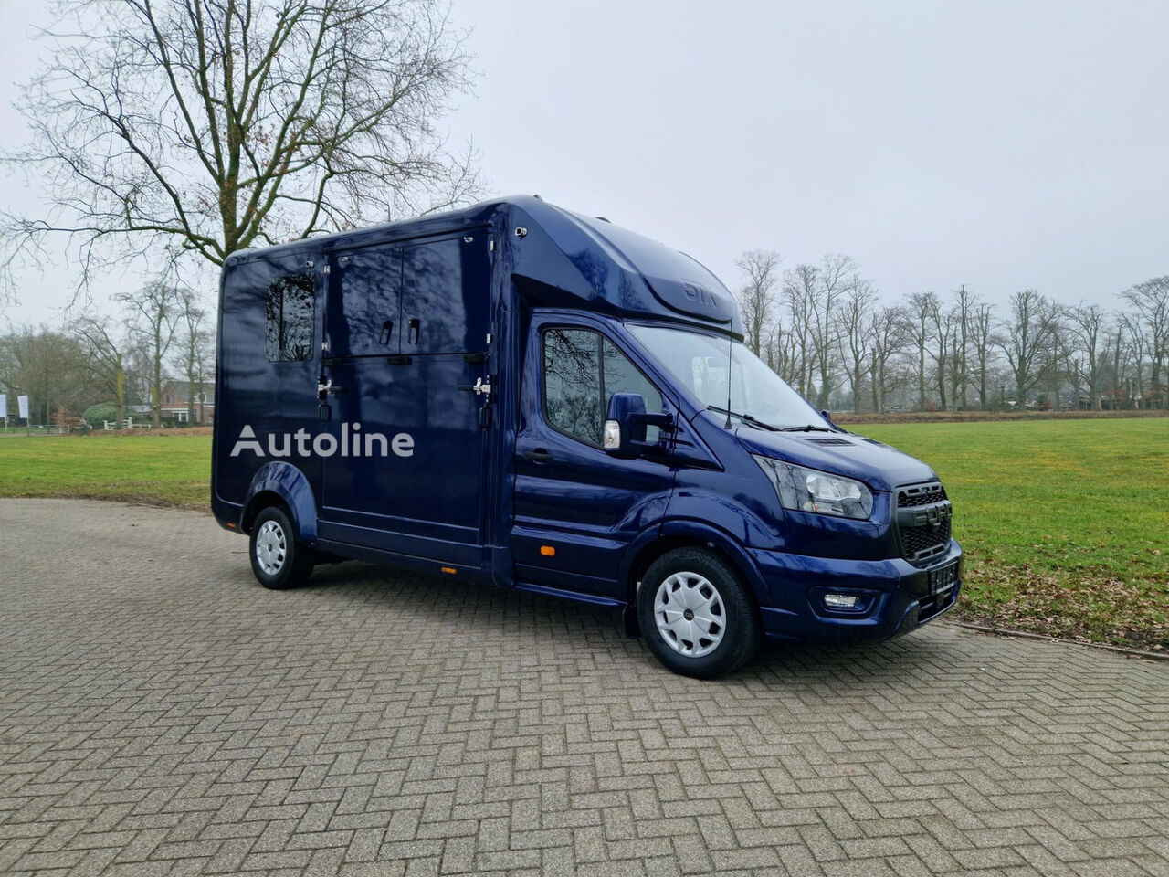 Transporte de cavalos Ford Transit - Autoline