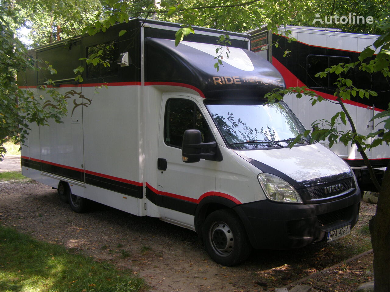 transport de chevaux IVECO DAILY