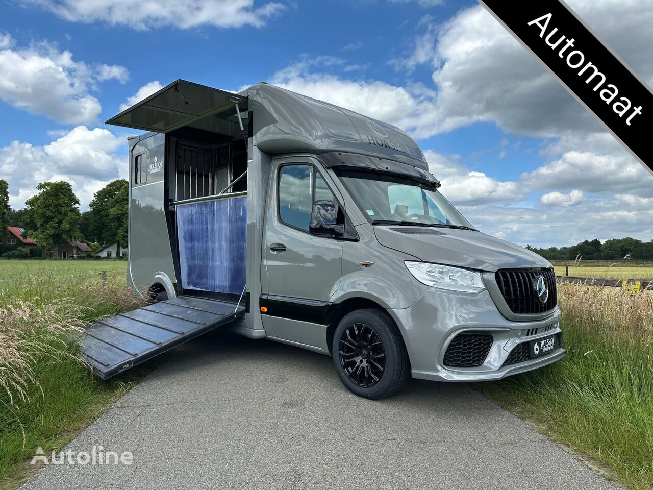 vůz na přepravu koní Mercedes-Benz Sprinter 314 AMG 2-paards paardenvrachtwagen B-rijbewijs