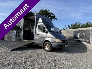 Mercedes-Benz Sprinter | HORSETRUCK | NUYTS | PRO SAFETY 3XL transportador de caballos