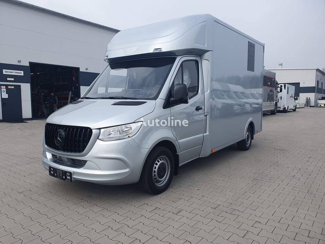 Mercedes-Benz Sprinter Koniowóz transportador de caballos nuevo