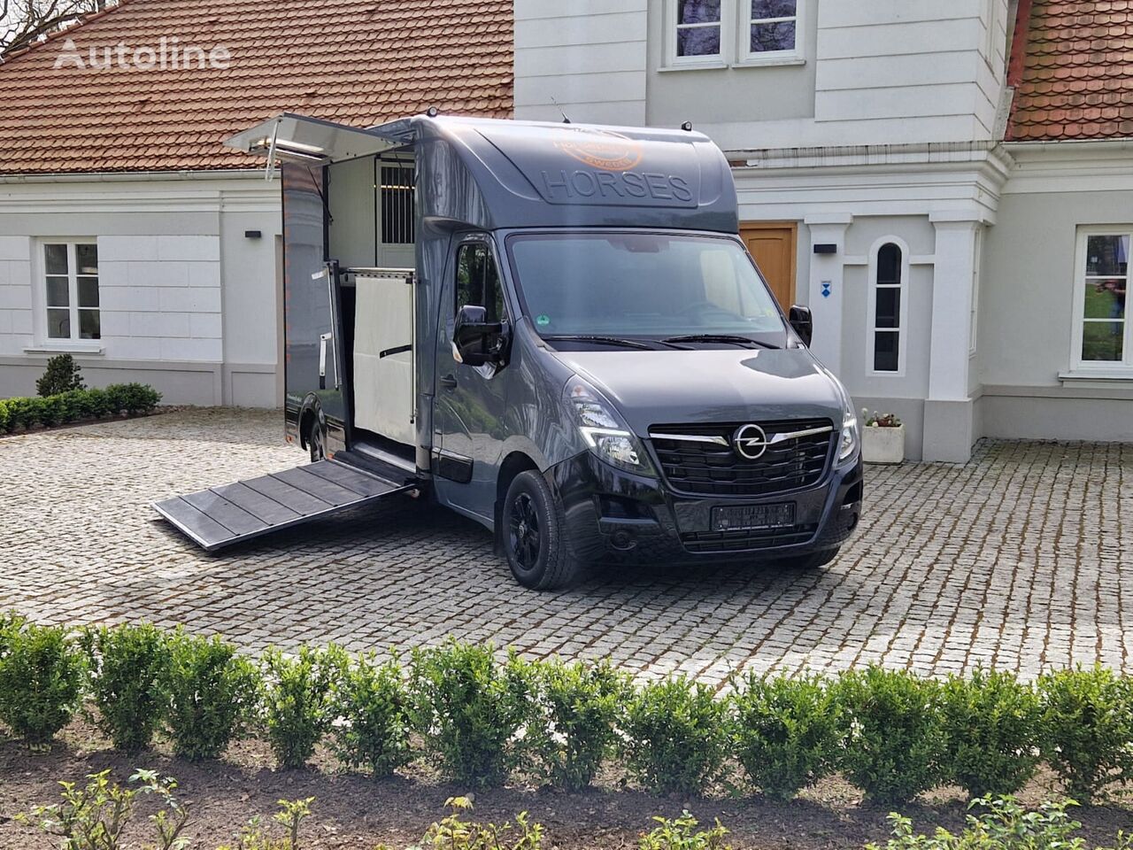 Opel Movano Pferdetransporter