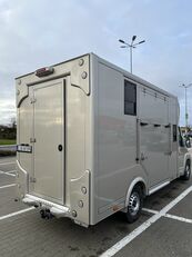 بيع شاحنة نقل الخيول Renault Boxer - صورة 8 | Autoline AE شاحنة نقل الخيول Renault Boxer | صورة 8 - Autoline