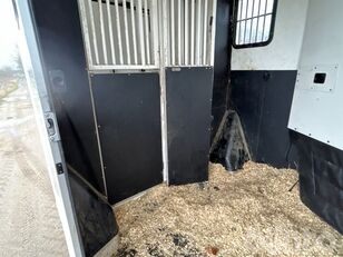 بيع شاحنة نقل الخيول Renault UME LIGHT-3 - صورة 20 | Autoline TN شاحنة نقل الخيول Renault UME LIGHT-3 | صورة 20 - Autoline