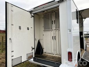 بيع شاحنة نقل الخيول Renault UME LIGHT-3 - صورة 35 | Autoline TN شاحنة نقل الخيول Renault UME LIGHT-3 | صورة 35 - Autoline