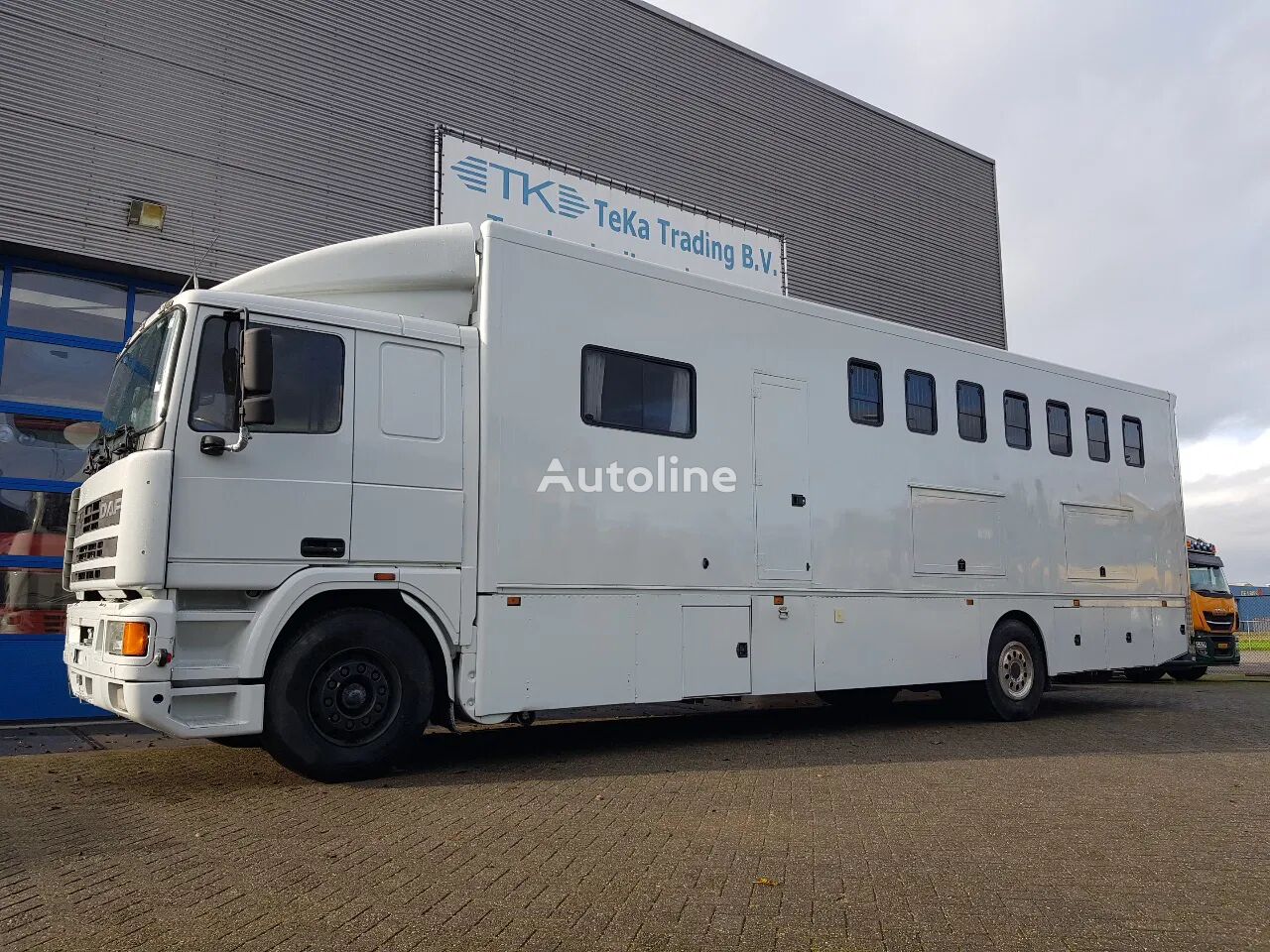 camion transport cai DAF 95.350 Paardenwagen met zitverblijf 7 paarden 7 horses