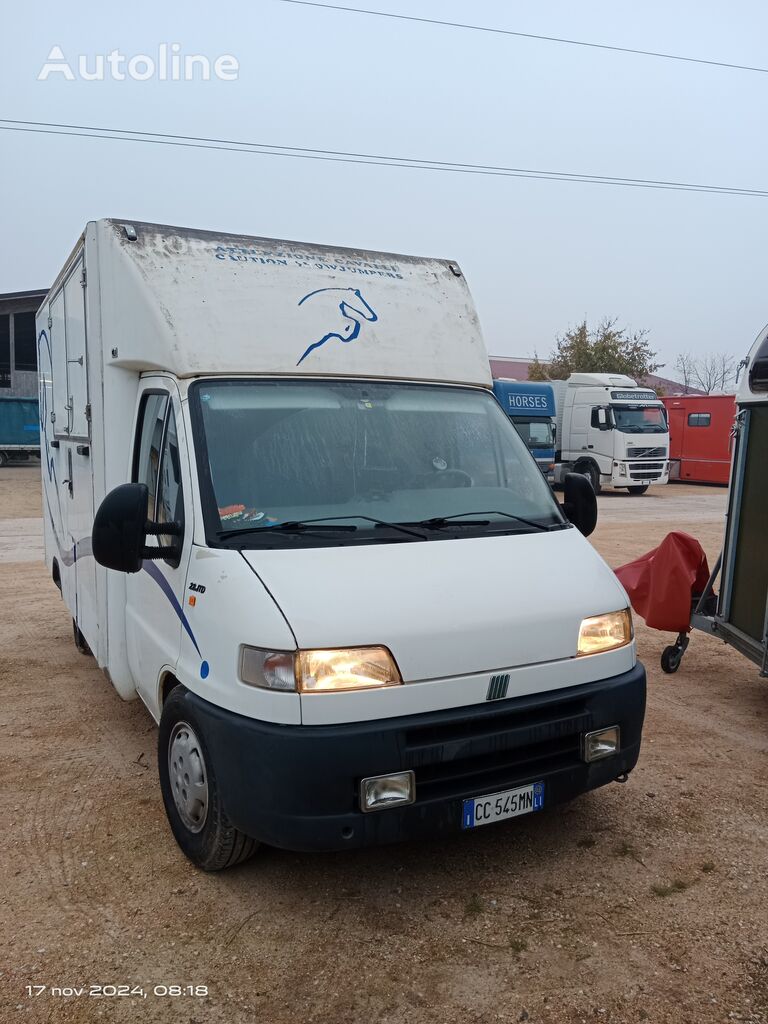 FIAT DUCATO hästlastbil