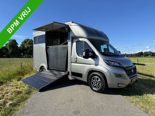 camion chevaux FIAT Ducato 3,65T neuf