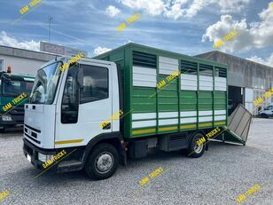 کامیون حمل اسب IVECO Eurocargo 65E14 Eurocargo 65E14 4x2 Tiertransport + Rampe