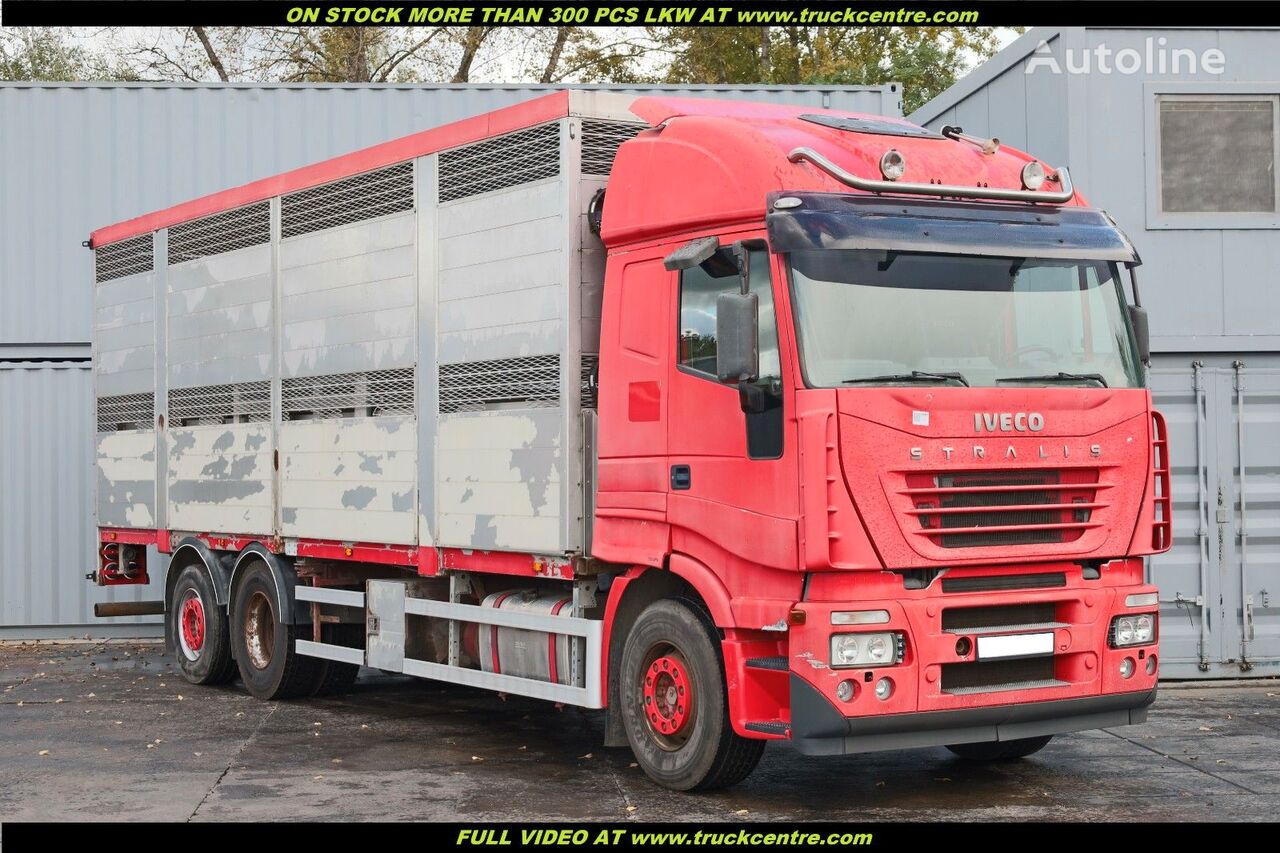 IVECO STRALIS 260, 6x2, BDF, ANIMAL TRANSPORTATION Pferdetransporter LKW