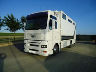 MAN TGA 18 430 horse truck