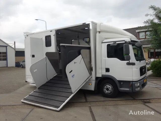 MAN TGL 12.250 3 PAARDEN/3HORSES EX POLITIE horse truck