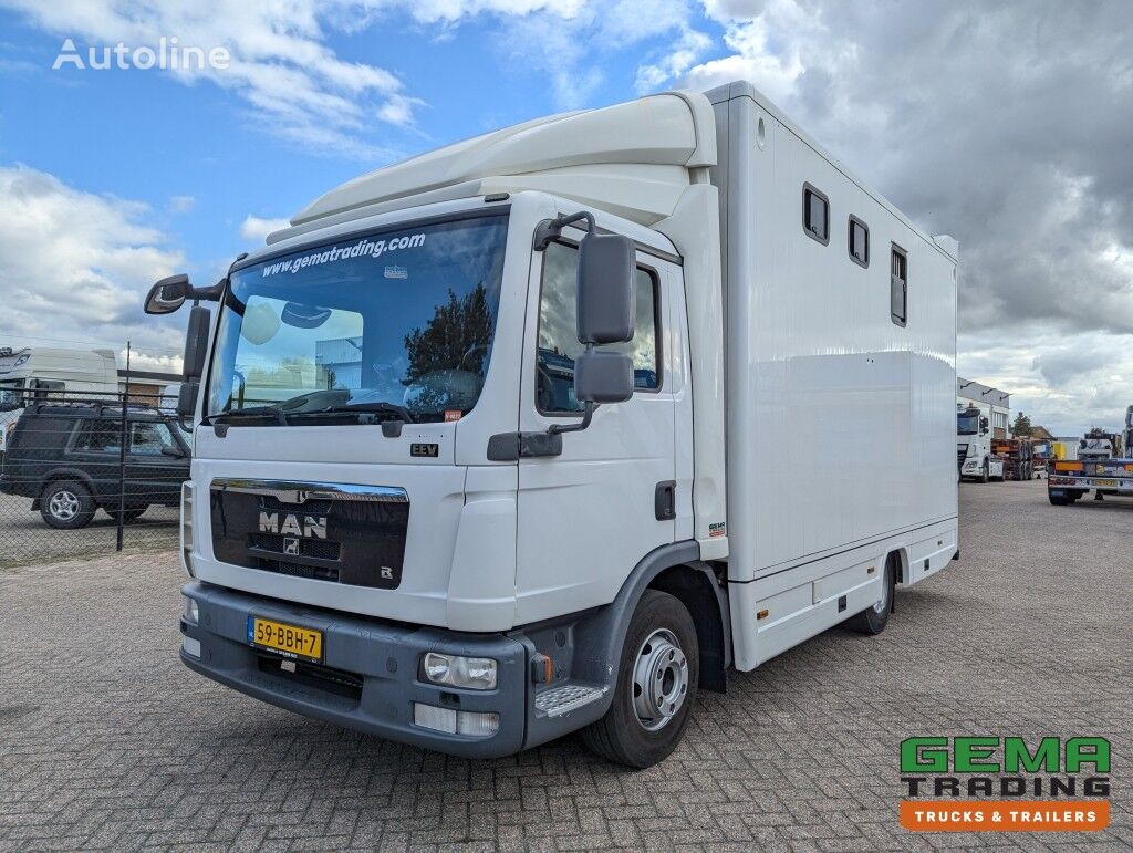 MAN TGL 12.250 4x2 Euro5 EEV RC HorseTruck - 2a3 Paards - 172.000km  horse truck