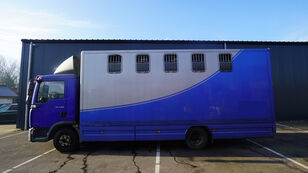 MAN TGL 8.180 HORSE TRANPORT 515.000KM Pferdetransporter LKW