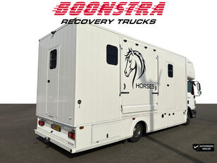 Купить грузовик коневоз MAN TGL 8.190 Horse truck 2 Horses + Living Camera 61.047 KM! - Изображение 5 | Autoline KZ Грузовик коневоз MAN TGL 8.190 Horse truck 2 Horses + Living Camera 61.047 KM! | Изображение 5 - Autoline