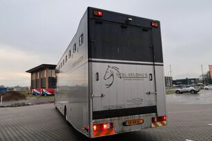 Mercedes-Benz Actros 1835 Horse transport horse truck