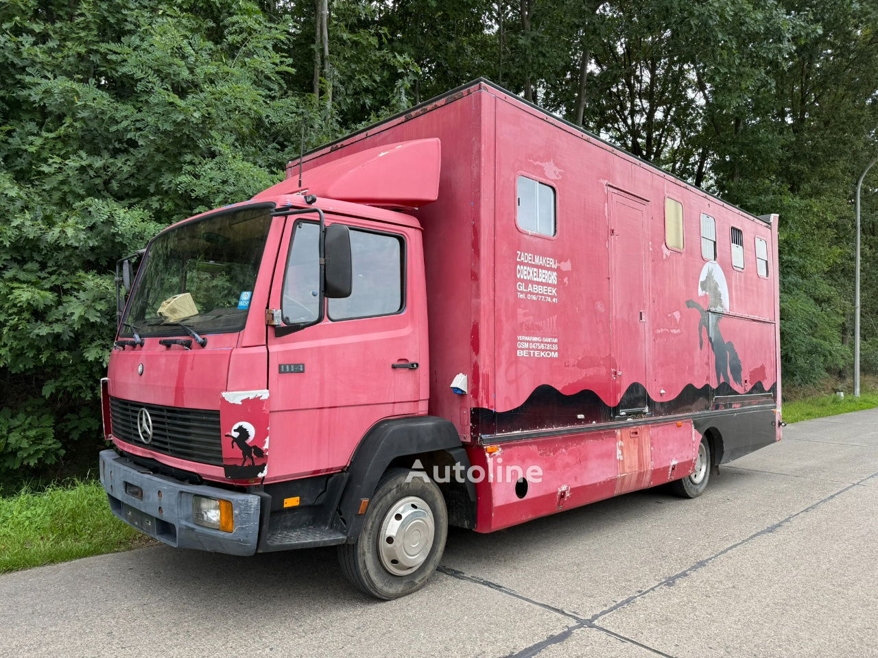 Mercedes-Benz Ecoliner 814 Pferdetransporter LKW - Autoline
