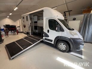 камион за превоз на коне Peugeot Equitrek