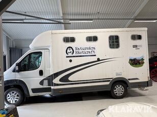 камион за превоз на коне Peugeot Equitrek