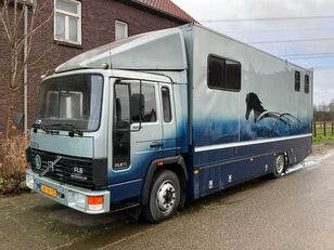 Volvo FL611 horse truck