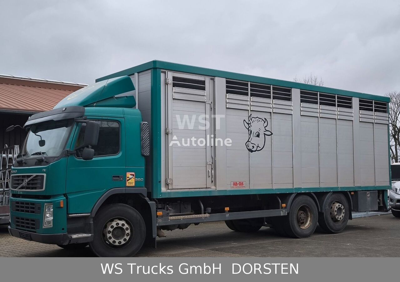грузовик коневоз Volvo FM 360 mit KABA Einstock 7,50 m Vollalu