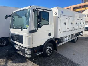 camion transport înghețată MAN TGL 8.180 HELADERO