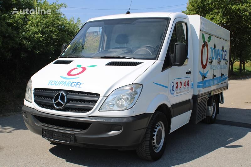 развозчик мороженого Mercedes-Benz Sprinter 310