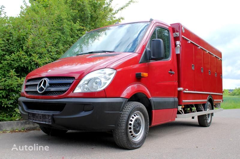 camion transport înghețată Mercedes-Benz Sprinter 313