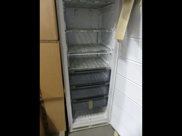 Surgélateur vertical IAR commercial freezer