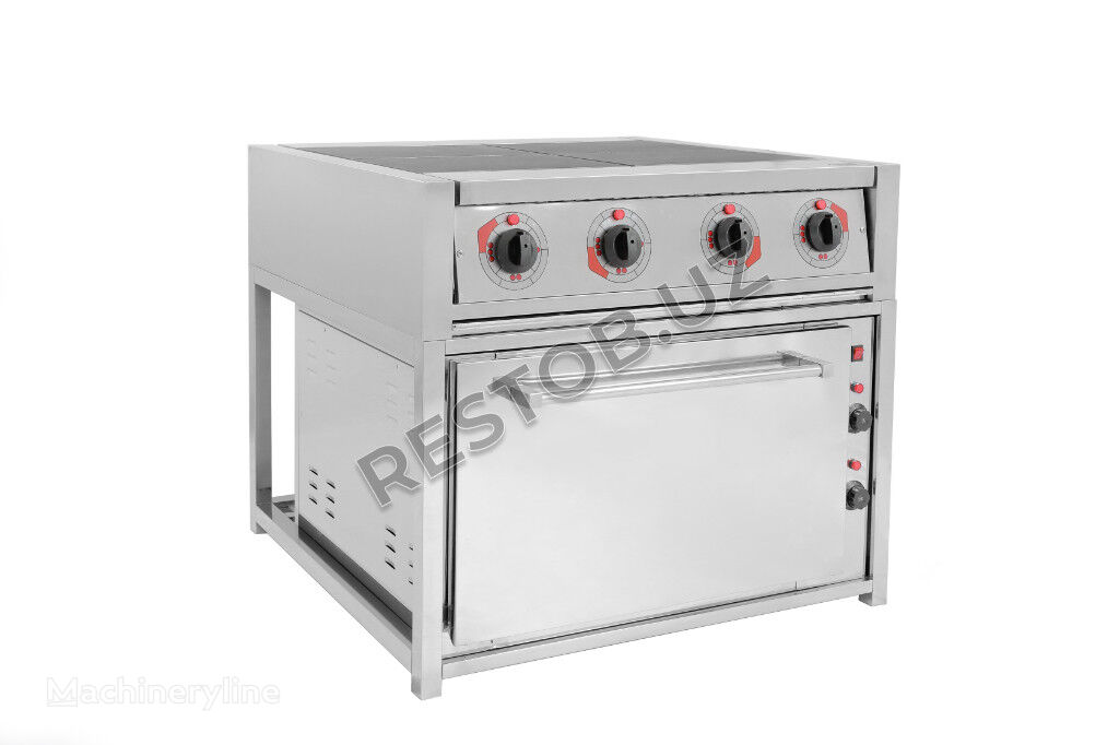 new AVS AGRO VATANPARVAR commercial stove