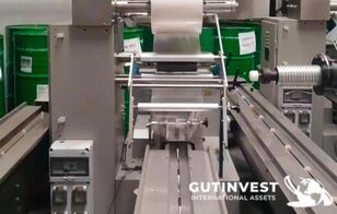 machine d'emballage horizontal Foshan Ruipuhua Machinery Equipment Co., Ltd ZP-500SG