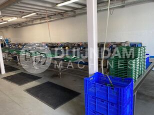 Visar horizontal packaging machine for sale - Image 9 | Machineryline ZW Visar horizontal packaging machine | Image 9 - Machineryline