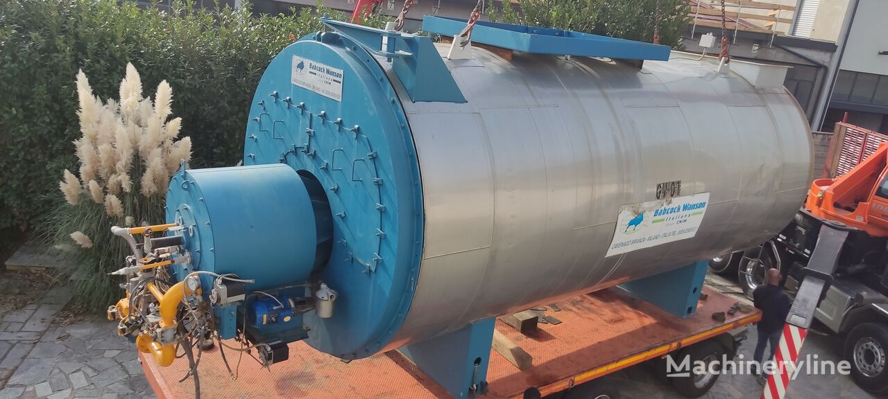 BWS-F100 steam boiler