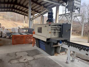 Weinig RAIMANN WEINIG ProfiRip Multi-blade rip saw ahşap şerit testere