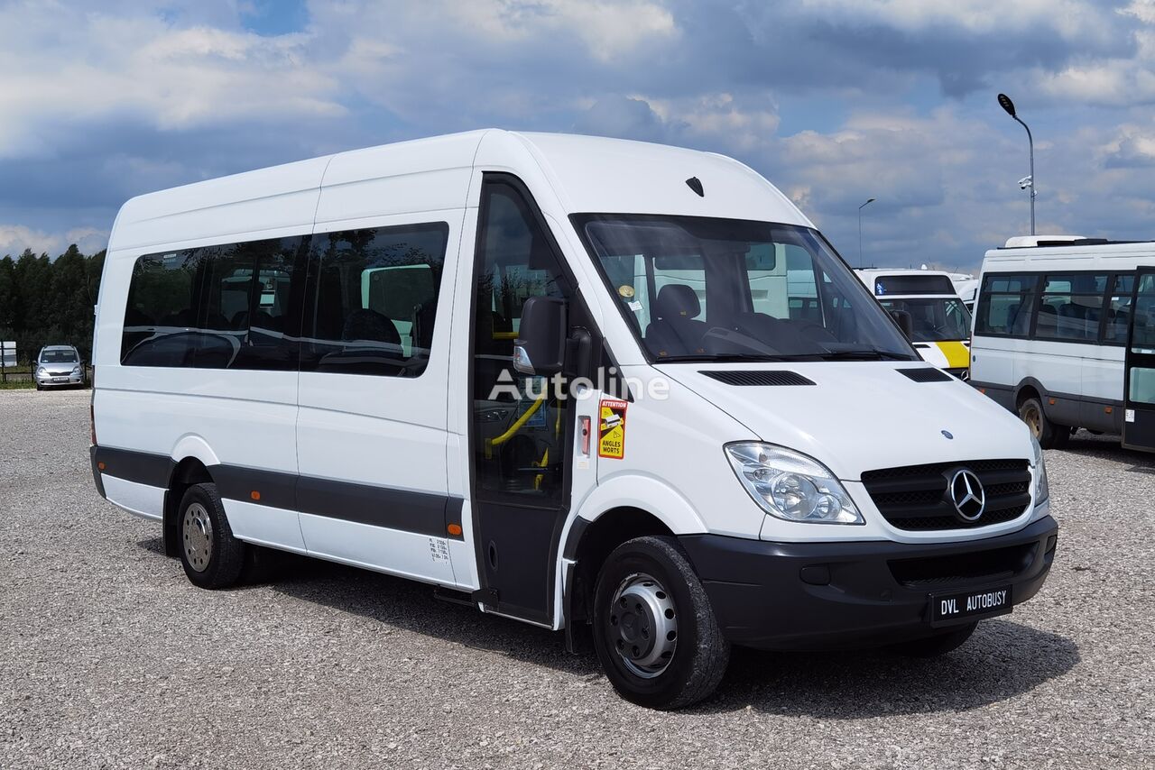 Mercedes-Benz Sprinter 516 *klima*webasto* EURO 5 autobús interurbano