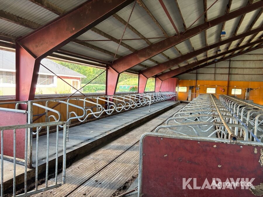 DeLaval Inredning till ungdjursladugård Delaval other livestock machinery