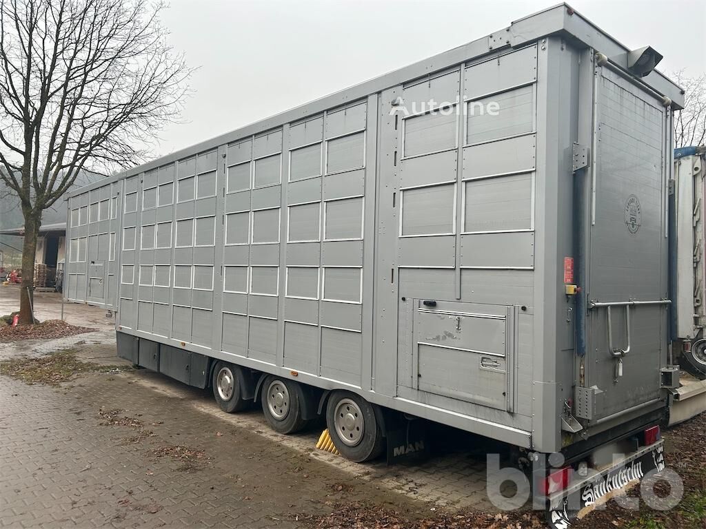 FIEGE SAT 34/135N livestock semi-trailer