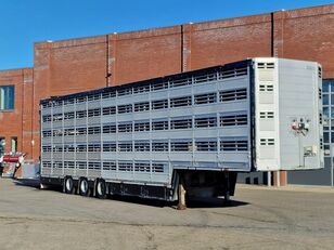 semiremorcă transport animale Pezzaioli 5 deck livestock 155M2 - Water & Ventilation - Loadlift - Foldin