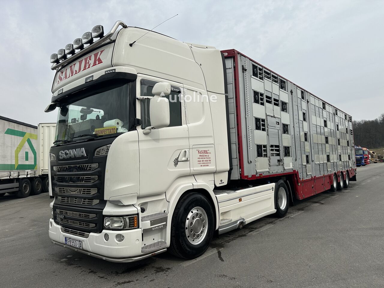 牲畜运输半挂车 Pezzaioli SBA32 - Autoline