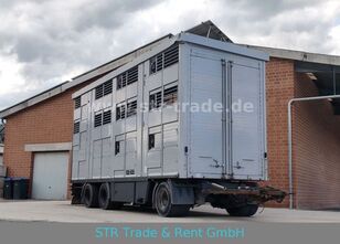 reboque transporte animais KA-BA 3 Stock Viehanh&auml;nger Hyd. Heckklap Hubdach