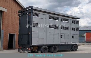 reboque transporte animais KA-BA 3 Stock Viehanh&auml;nger Hyd. Heckklap Hubdach