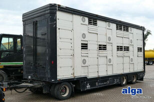 Stehmann, 3 Etagen, Schweine/Ferkel, 59,5m&sup3;, BPW livestock trailer
