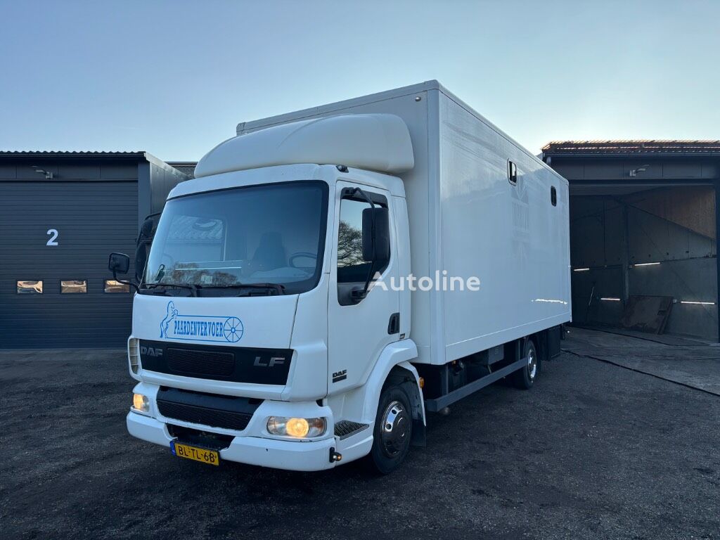 camion transport animale DAF LF 45.150 4 paards, laadlift. Horsetruck NL truck