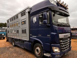 شاحنة نقل المواشي DAF XF 105 Viehtransporter * FINKL * 2 Stock