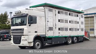 DAF XF 105/460 livestock truck