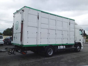 DAF XF105 410 livestock trailer truck cami&oacute;n para transporte de ganado
