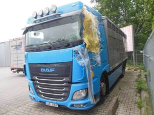 DAF XF106.460, Havarovaný - pojízdný állatszállító teherautó