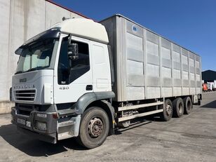 IVECO STRALIS AT260S43Y-PT  camión para transporte de ganado