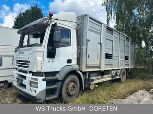 IVECO Stralis 310 camión para transporte de ganado