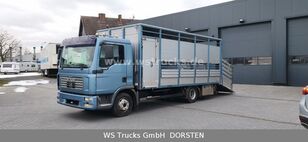 MAN TGL 10.210 1 Stock Viehtransporter Viehtransporter LKW kaufen - Bild 12 | Autoline LI MAN TGL 10.210 1 Stock Viehtransporter Viehtransporter LKW | Bild 12 - Autoline